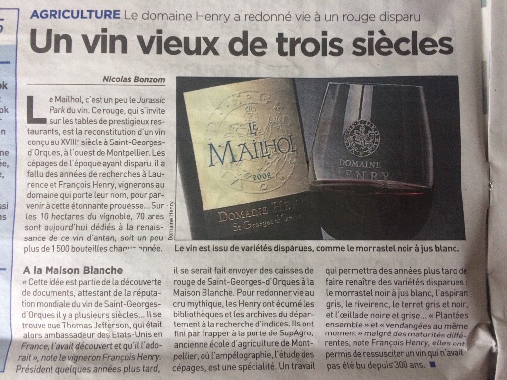 KAREN_L_J's tweet photo. Le #mailhol fait son retour au Domaine Henry
Via 20minutes
#vin #occitanie #domainehenry https://t.co/iWqYWuJZEU