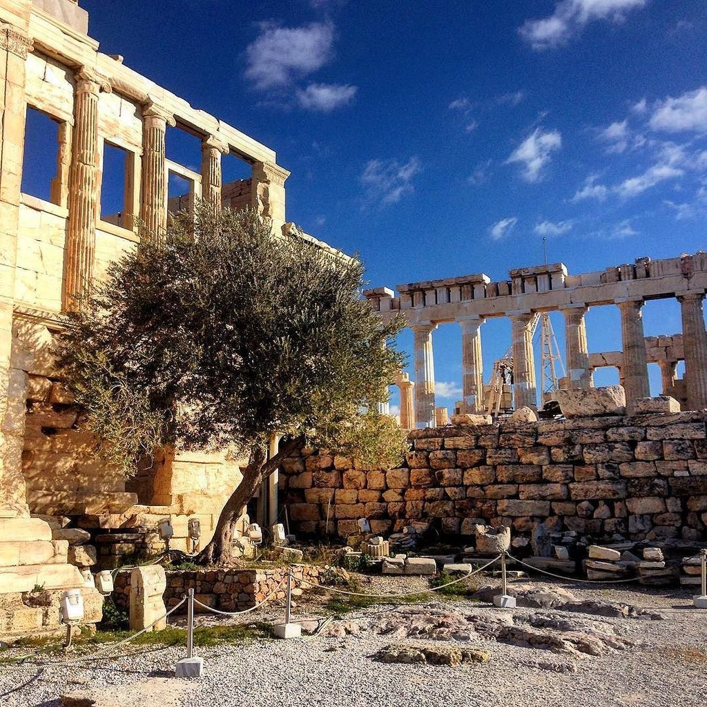 Creativelena's tweet photo. #Acropolis of #Athens โค #VisitGreece #Greece #Europe #Travel #2000YearsOfHistory https://t.co/T6ZkdXb1aM