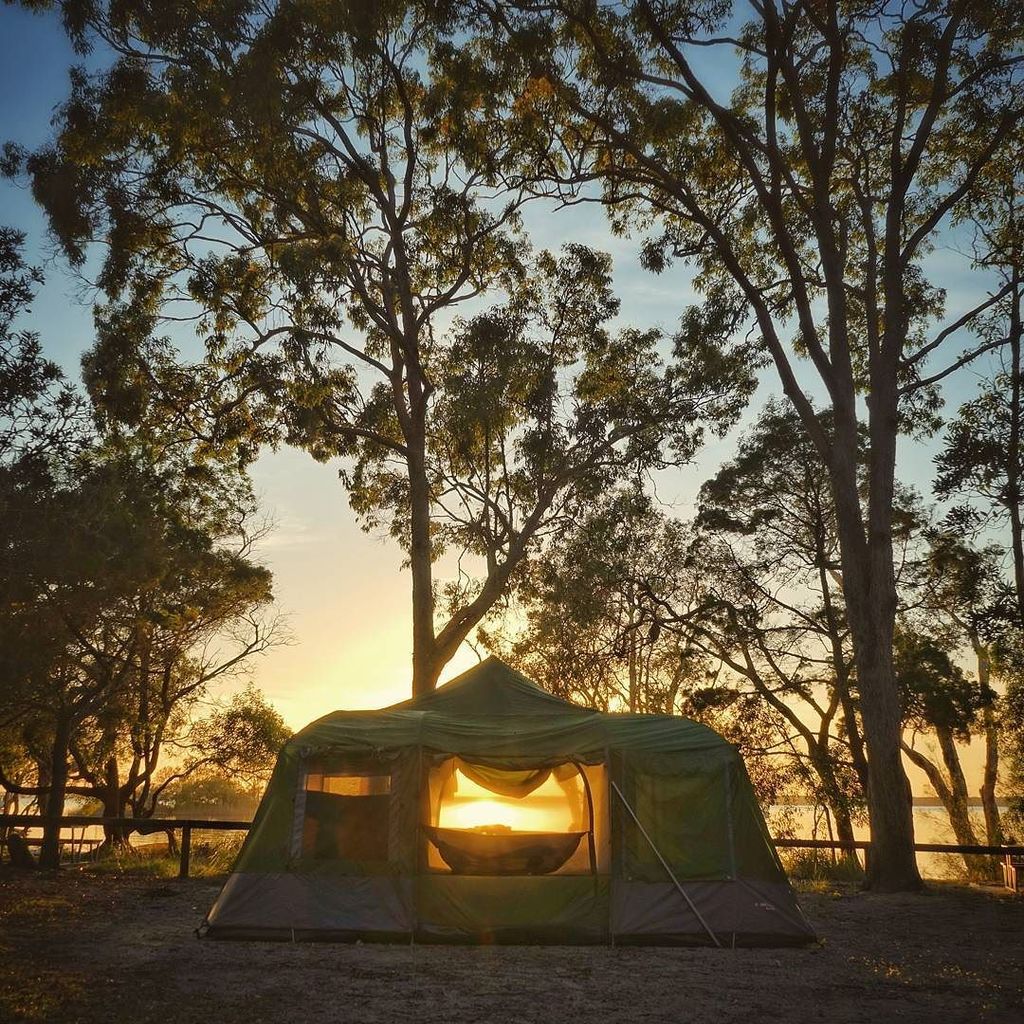 KeiranLusk's tweet photo. Sunrise over the lake and through the trees to our campsite at #BoreenPoint. We had such a… https://t.co/8dSGn3Dk56 https://t.co/xyXNHGtRKC
