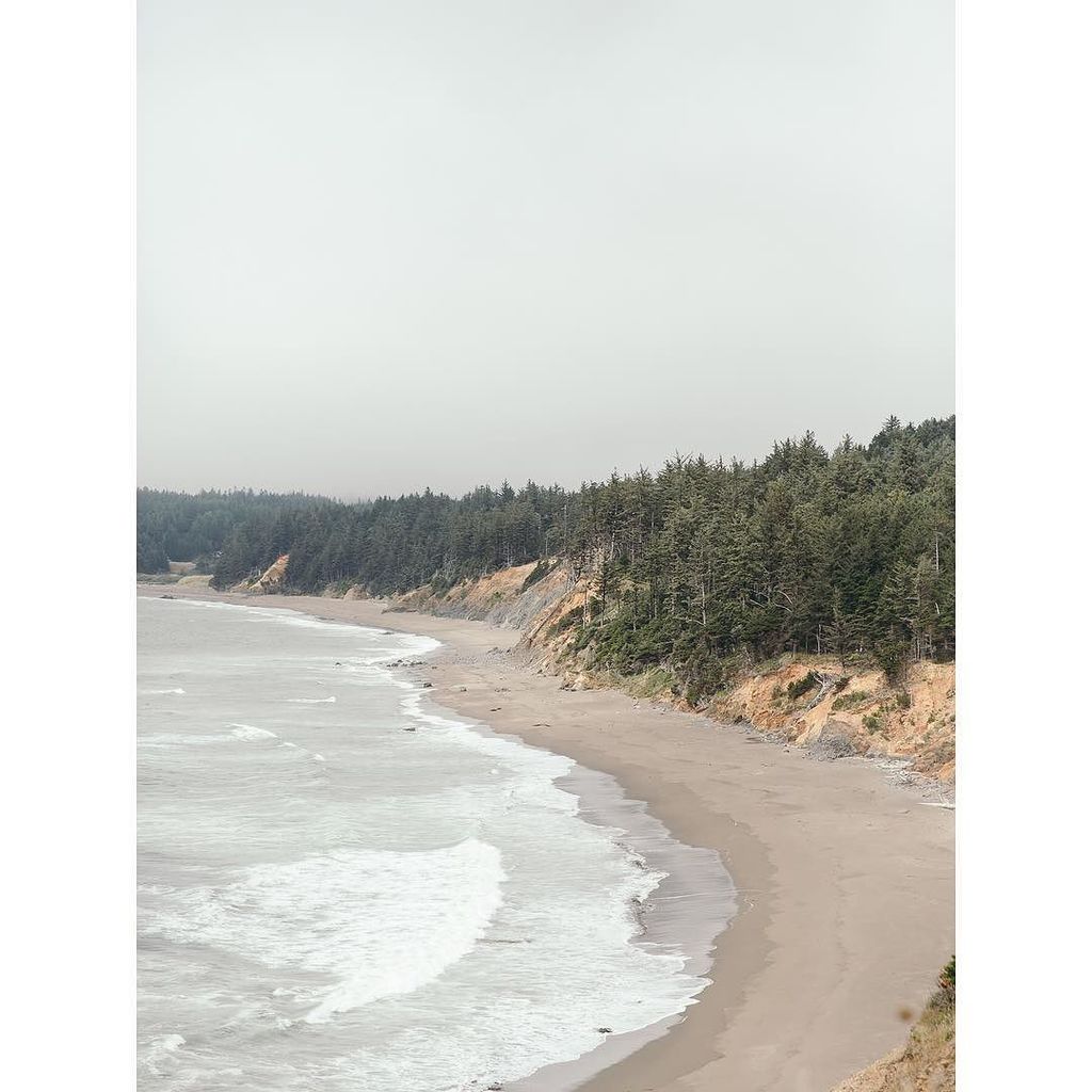 Fox and Favour tweet media