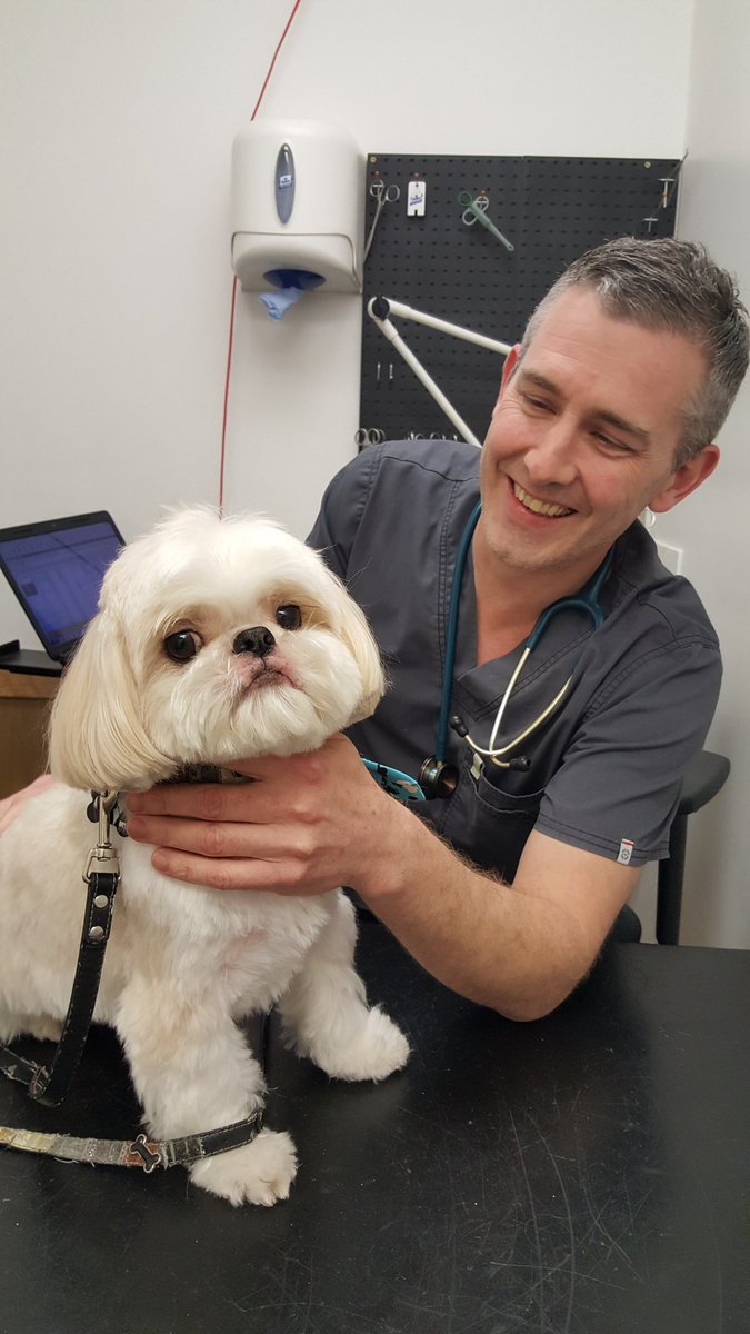 jackiet28's tweet photo. #Alfiethomas @Myvet24_7 with #DanielDoherty @rutiahronee @lorrie_e @garyaknichols @SpencerOfficial @JIoPvt @wanderdown @GByford87 @AcePRMan https://t.co/pdFiQNHP9Y