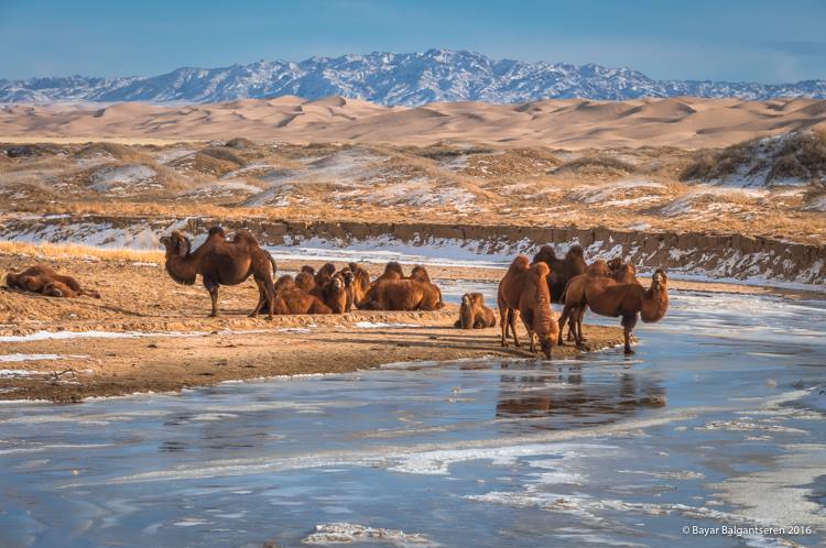 Mongolia is beautiful caountry...#mongolia #beautiful #nature