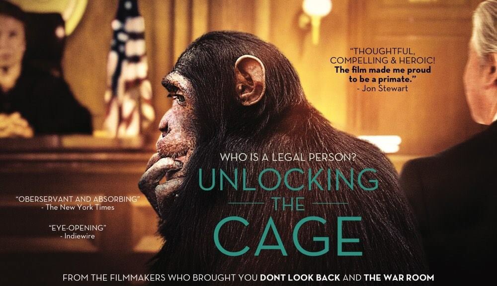 effa_group's tweet photo. Please share: 

Unlocking the Cage.              

Showing as part of EFFAs 'Go Vegan in 2017' campaign:

https://t.co/R088xuWU8b… https://t.co/Uyy2WsZQ8C