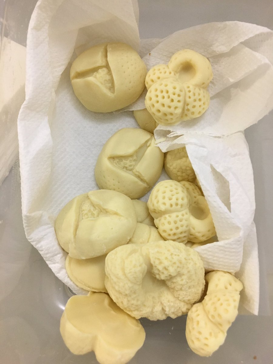 NHM_Micropalaeo's tweet photo. Morning chocolates on the #NERCATSC made by @AndyPurvisNHM https://t.co/5fMNqBdYyN