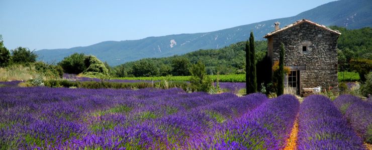 SelectcampIT's tweet image. Un soggiorno in Francia? Date un'occhiata alle proposte di #Selectcamp, per un soggiorno dal 1 all'8 luglio! selectcamp.it/cerca?ci=14&amp;amp;ad…