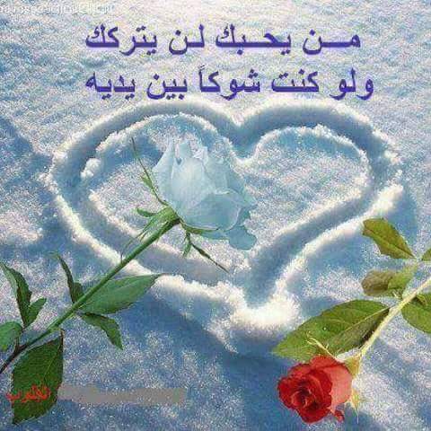 احمد خالد (@hhhdd77) on Twitter photo 