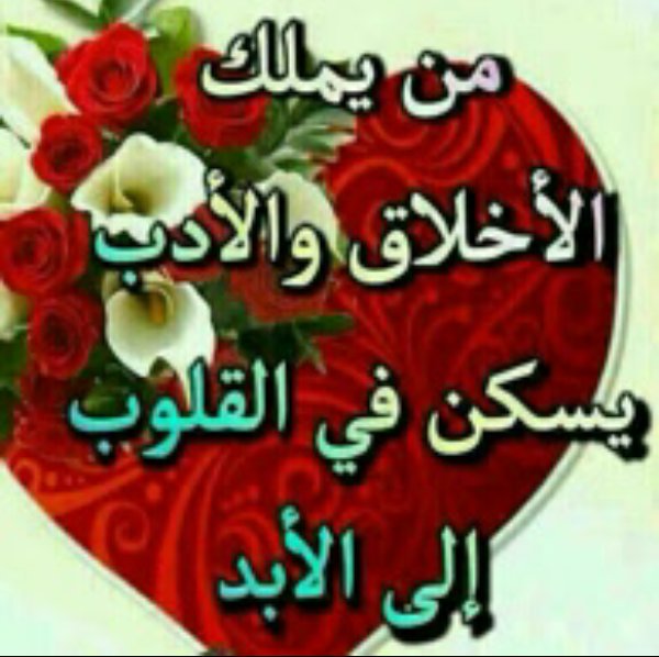 احمد خالد (@hhhdd77) on Twitter photo 