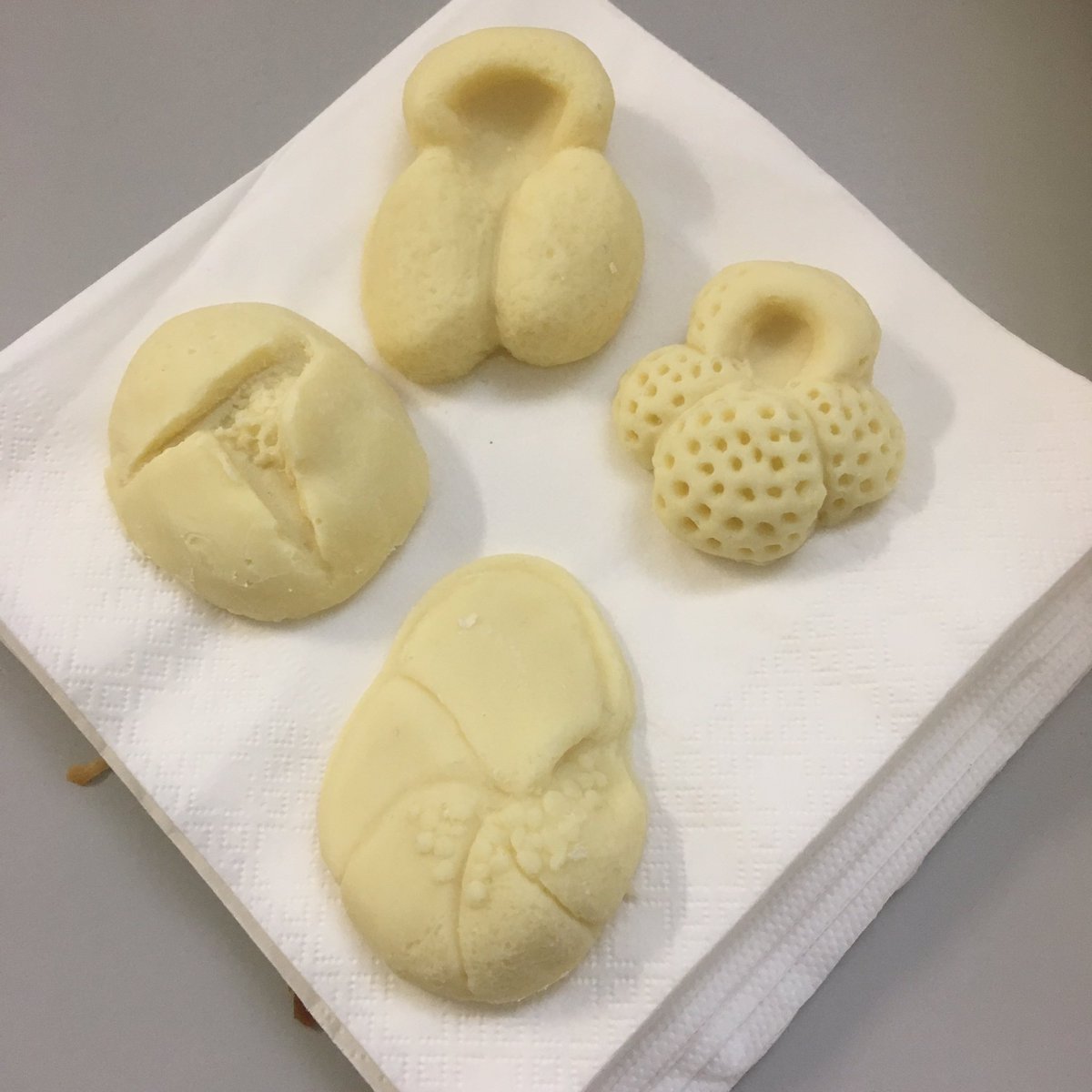 DrLynzFox's tweet photo. @AndyPurvisNHM has excelled himself again with his chocolates forams! #nercatsc #foramschool https://t.co/5tYL2WMEcN