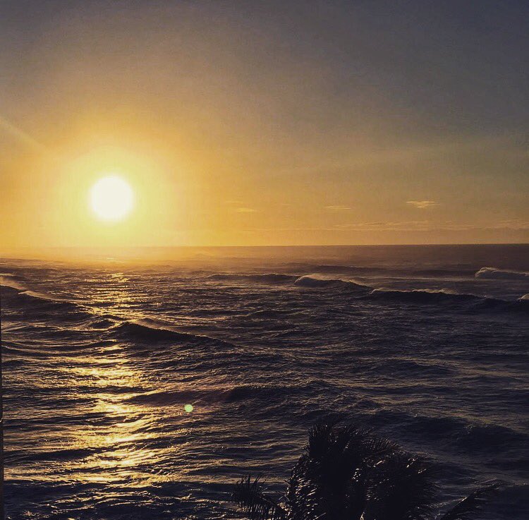 Translogik's tweet photo. Not long to go until the 2017 OTR Conference at @TurtleBayResort in #Oahu, #Hawaii. 😎#iTrackII #mining #sunset https://t.co/fTL4Wyo9eo