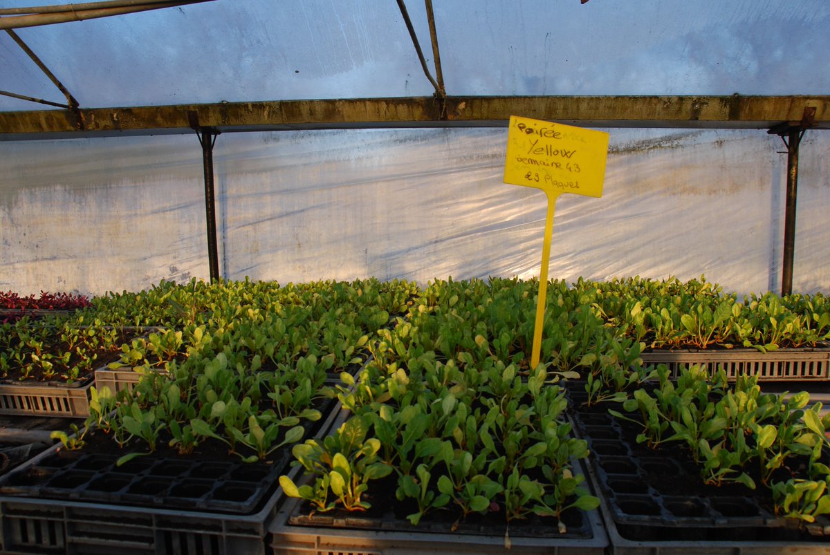 Découvrez les producteurs de La Dégustation Musicale #11 !
Hop O poP / bit.ly/2lJPKze
Question de Culture / bit.ly/2kRXjSX