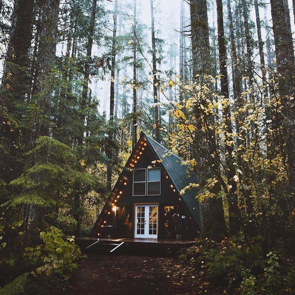 Wooden Cosy House by <a href="/kuhrmarvin/">Marvin Kuhr</a> #cosyhouse #wooden #forest #wildhouse #architecture #desi… bit.ly/2l7jtij