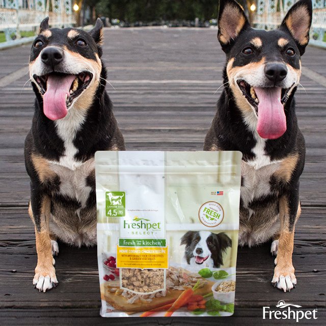 BestPetDog's tweet photo. Notoriously picky eaters, my two #dogs have so far enjoyed all #FreshpetSelect flavors for two years now!  https://t.co/SzjWsJ3tX1 https://t.co/Vd7hGYgqjz