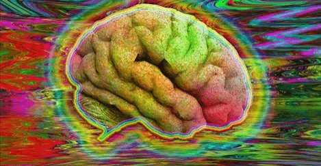 BeckleyResearch's tweet image. A therapist explains how #MDMA and #LSD can help facilitate psychotherapy inverse.com/article/27730-…