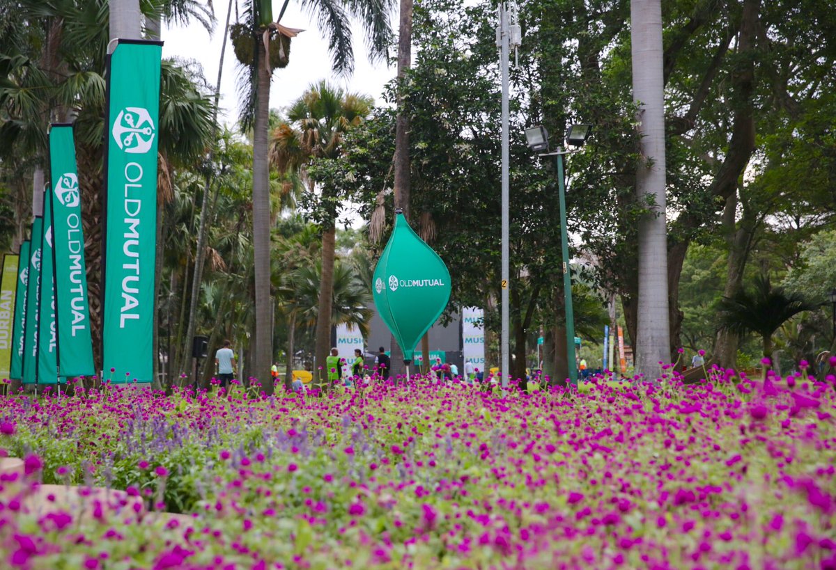 Old Mutual Concerts tweet media