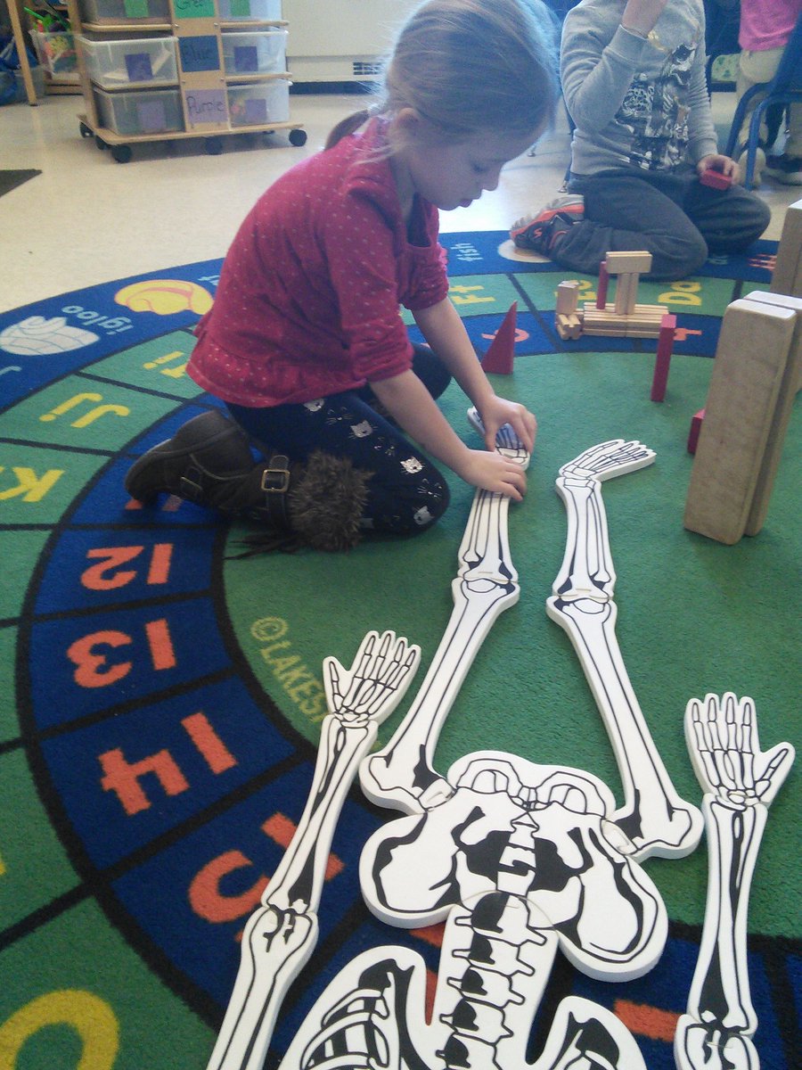 MsLammatPlayer's tweet photo. Olivia puts together the skeleton puzzle. This week we learned that our skeleton supports us and protects our organs. @PlayerSchool @ISD109 https://t.co/MZk9bmzwOx