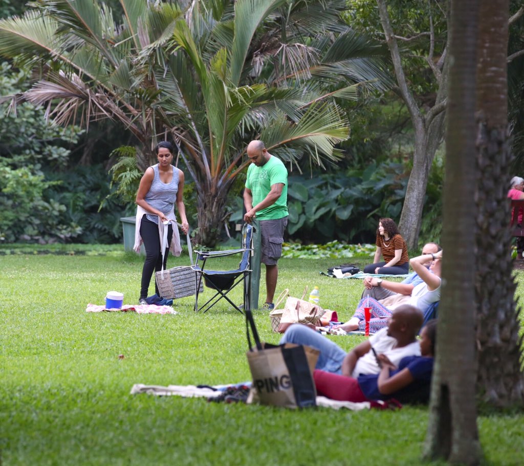 Old Mutual Concerts tweet media