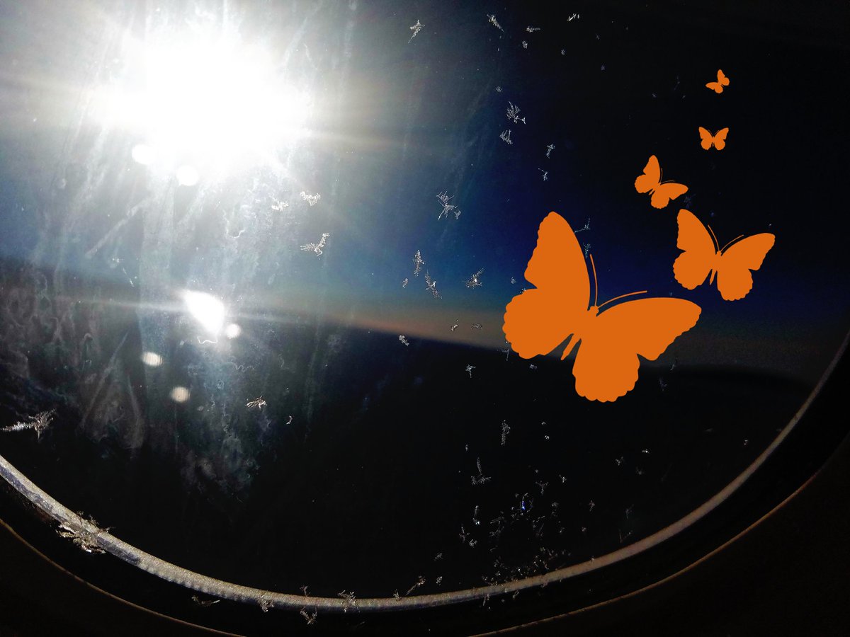 InFlightAlex's tweet photo. @united amusing myself with @PicMonkey tweeting photos with the #inflightWiFi!!! https://t.co/FLEFigffOQ