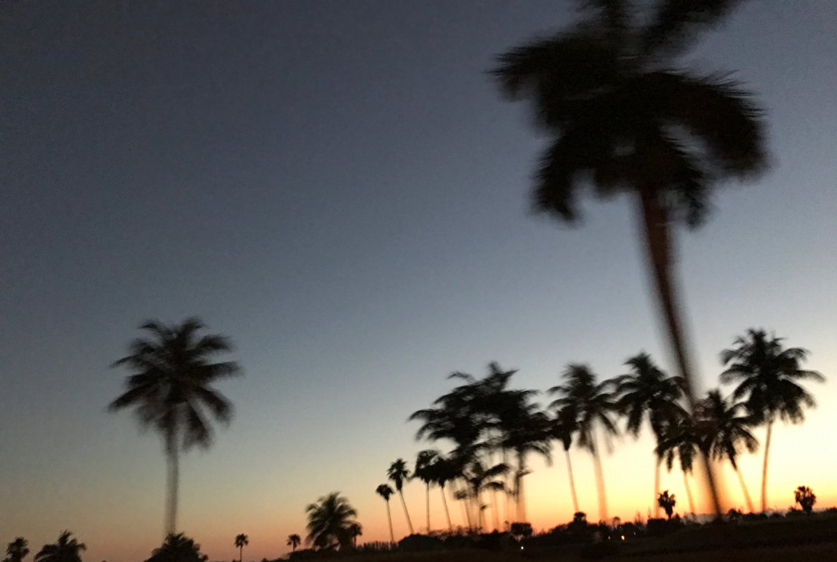 losmolero's tweet photo. Real #love is unconditional and will be there with you in every sunrise or sunset #wednesdaywisdom #lovelife #livehapilly https://t.co/9AzWLjEseQ