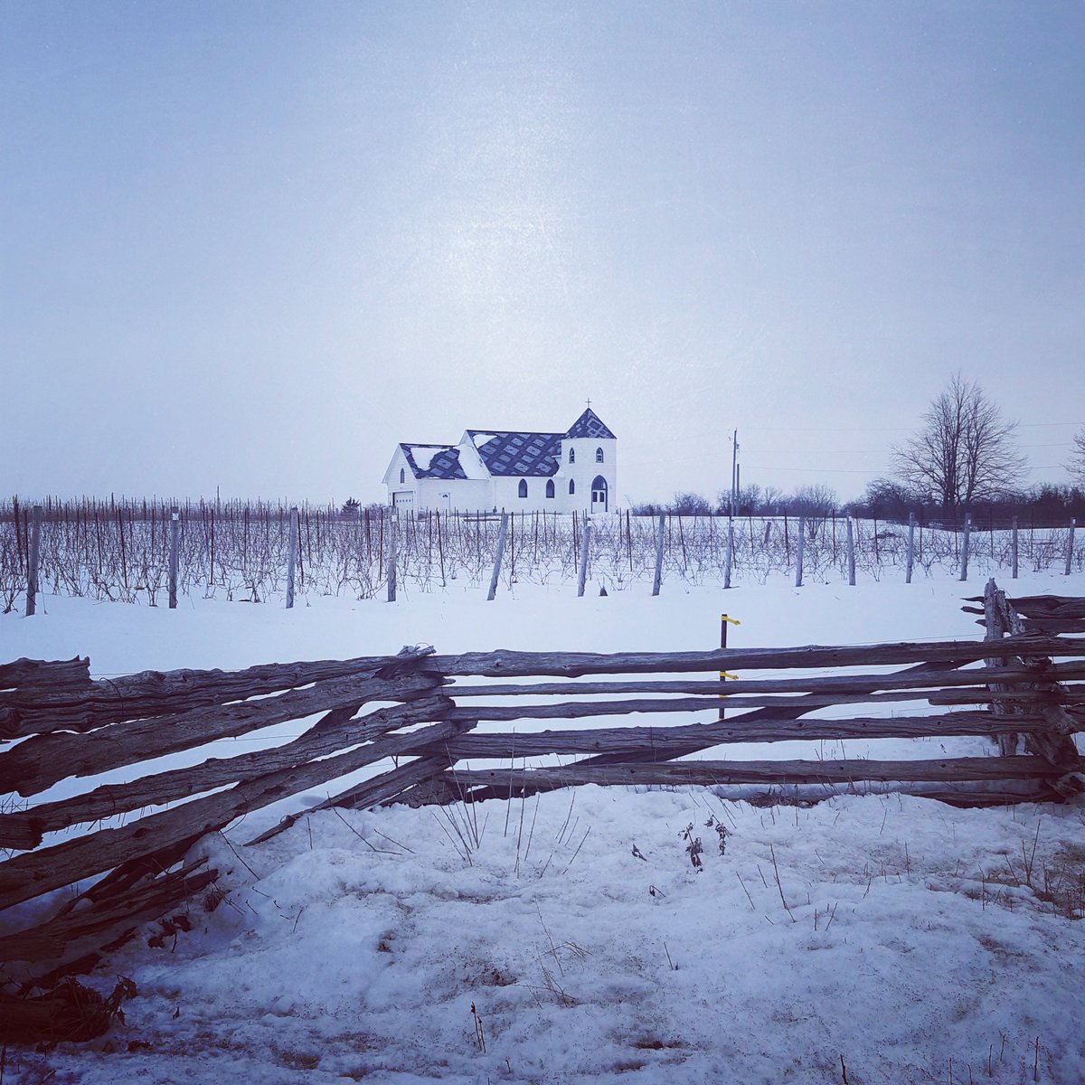 The back roads of #PrinceedwardCounty #PureOntario