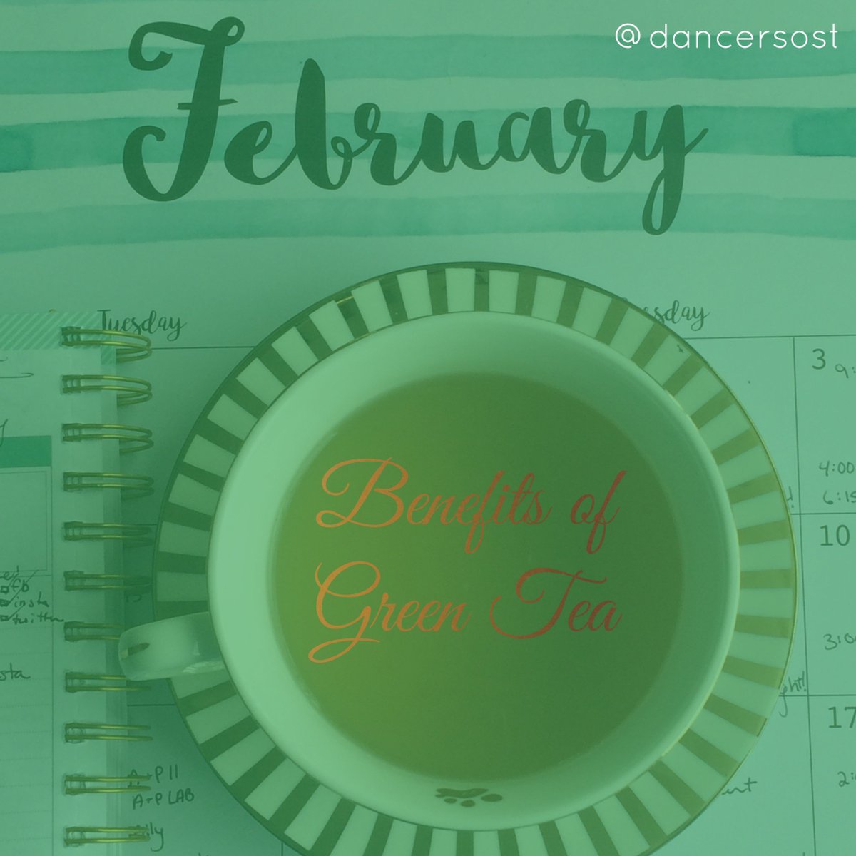 dancersost's tweet photo. Did you know that green tea does WONDERS for your body? #drinkup 🍵
LINK: https://t.co/VlDuWlqCKL 
#wellnesswednesday https://t.co/gTrvnuNsKW