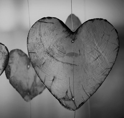 babylangues's tweet image. #FebEvents 'Ours', l'expo photo de Vincent Munier. Find out more about this exhibition at the Jardin des Plantes: ow.ly/SJ72308Xc9P