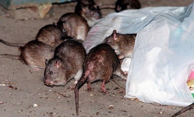 CatchmasterPRO tweet picture
