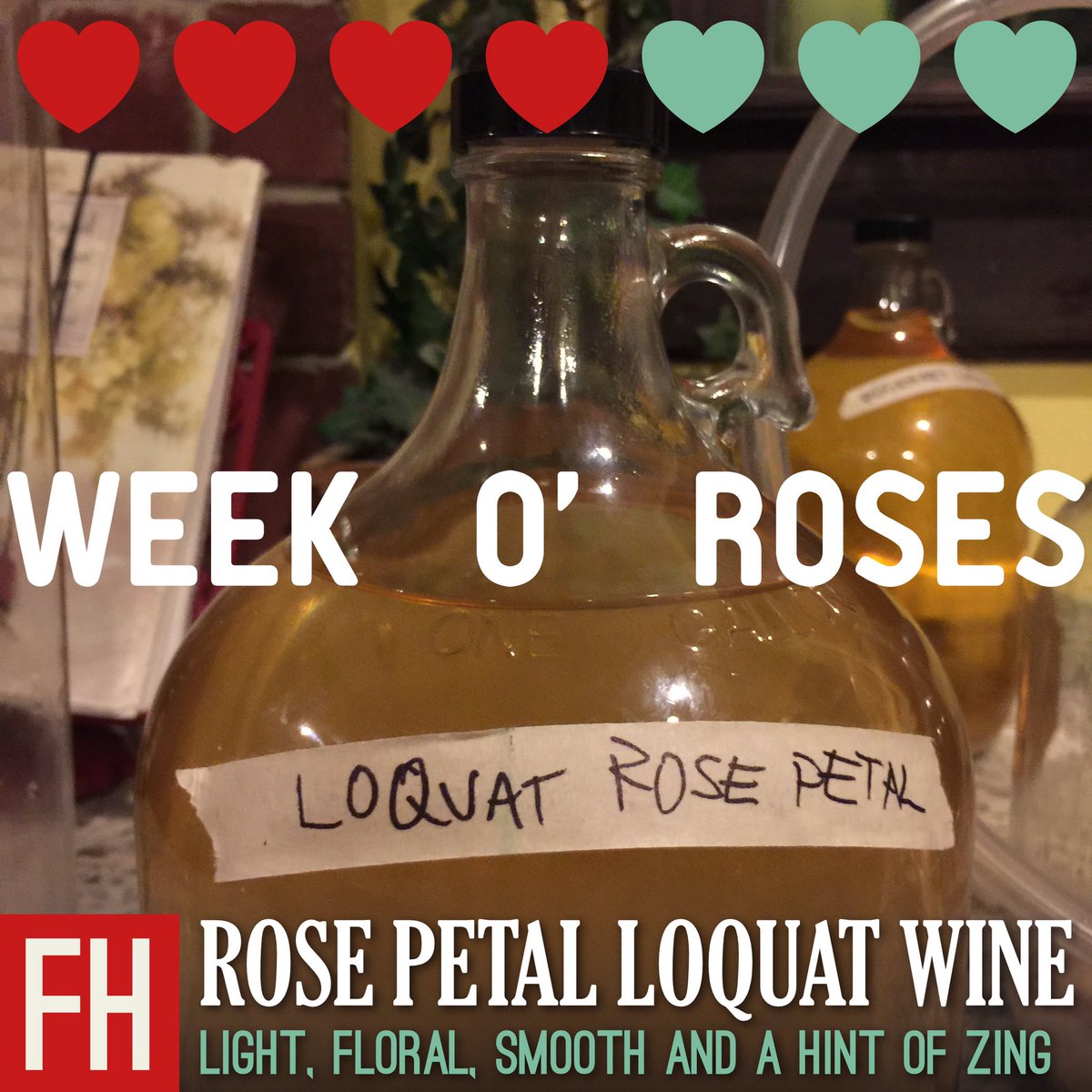 Loquat Rose Petal #wine
Fermented spring.

#ATX #countrywine #urbanwine