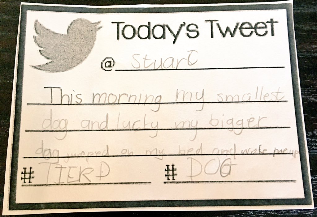 Grade4E's tweet photo. 15 February 2017- Stuart #todaystweet #grade4e #weloveschool #dog #tired https://t.co/SRN9HuvDQR