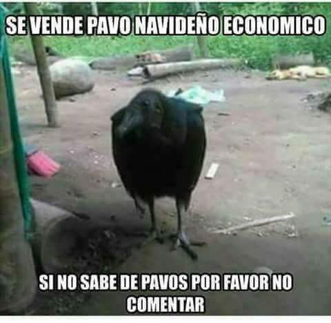 felixdanielron2's tweet photo. https://t.co/xiCL86uhgn