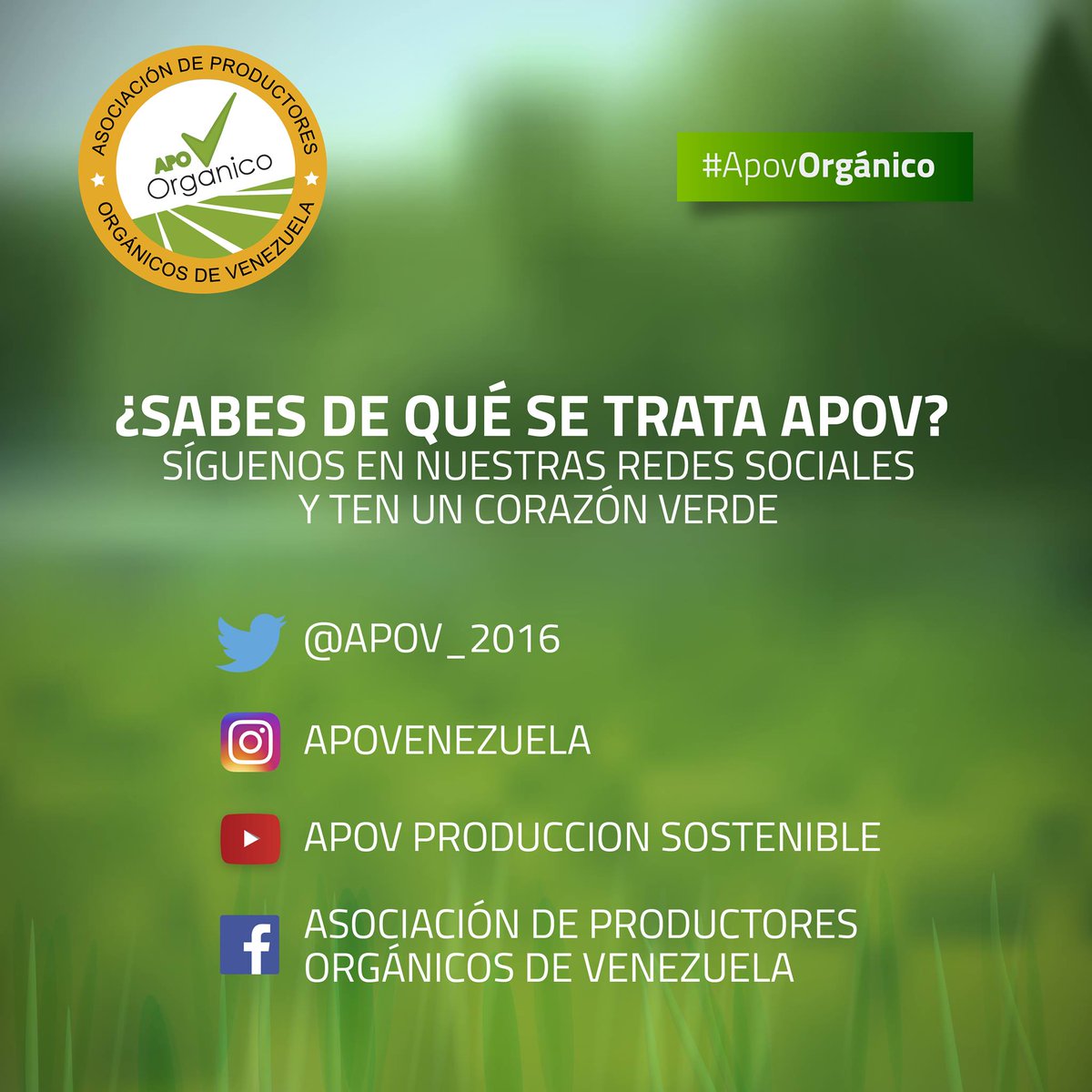 APOV tweet media