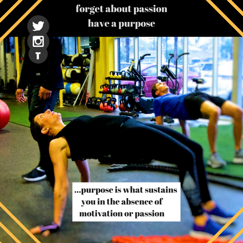 HOFCulverCity's tweet photo. HOUSE OF FITNESS....Culver City's Premiere Training Facility
310-773-9484
#houseoffitnessla https://t.co/diuY27yZXE