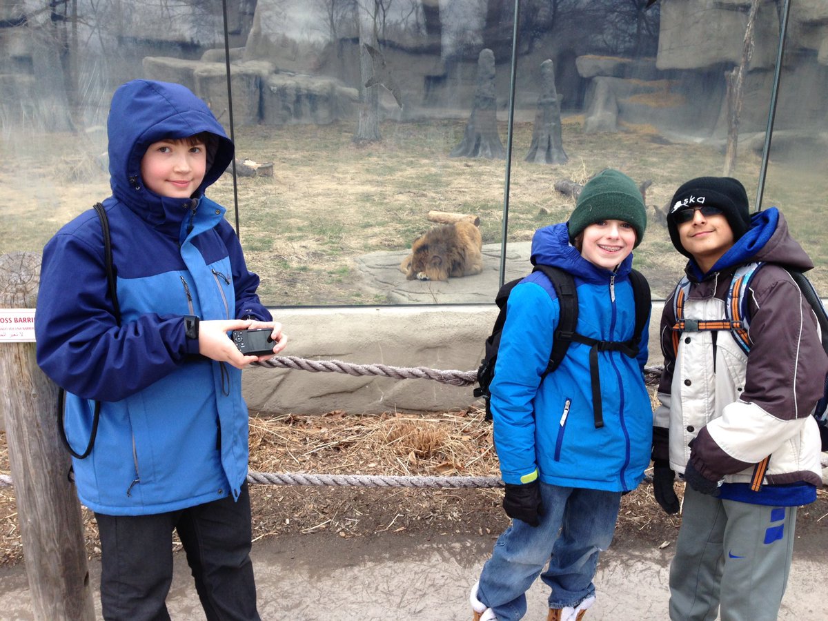mcconnell5thgrd's tweet photo. @PrattClass5 checking out the lions! #detroitzoo https://t.co/fUwlSebKvV