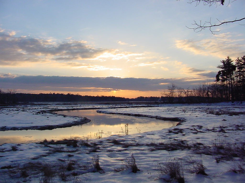 A calm stream curves through a snowy plain with trees bordering it as the sun rises in a cloudy sky.