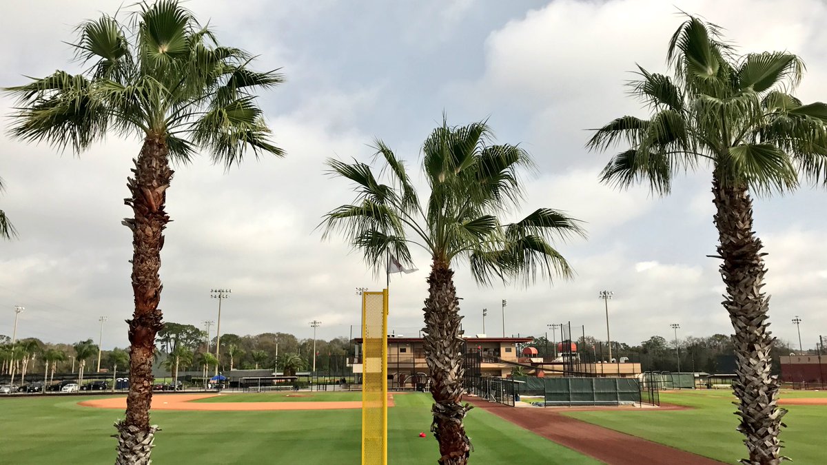 Phillies's tweet photo. 🌴🌴🌴 https://t.co/e6bvMQACXN