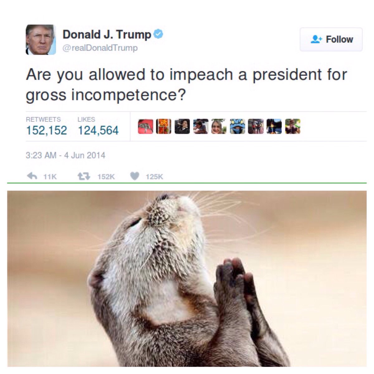 RoguePOTUStaff's tweet photo. Please please please please #TrumpImpeachmentParty https://t.co/4H47SO4PR9