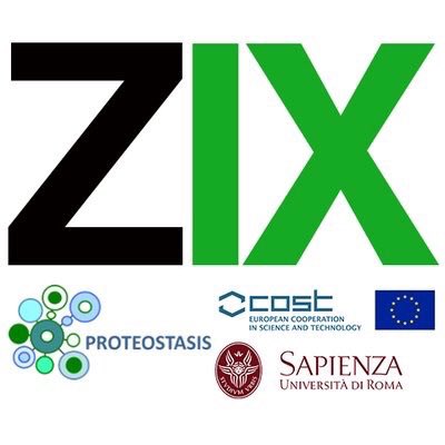 Proteostasis's tweet photo. Feb 15, day 2 of #ZOMESIX Session 5:
STRUCTURE AND MECHANISMS OF DEUBIQUITYLATING ENZYMES
@ZOMESIX https://t.co/Cyn6NroEZf