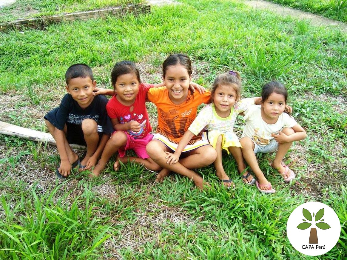 CAPA_Peru's tweet photo. ¡Tú también puedes #SumarteALaSelva y ayudar a las comunidades de la Amazonía! Anímate a formar parte de #CapaPeru https://t.co/bKkjoGK7xm https://t.co/2SjLP4bfzQ