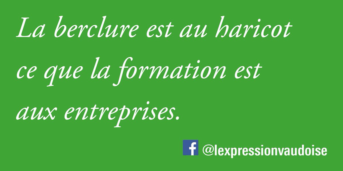 LexpressionVD's tweet image. .#LexpressionVD #Berclure #Formation #PME #Emplois - ow.ly/JP4n308iBOD