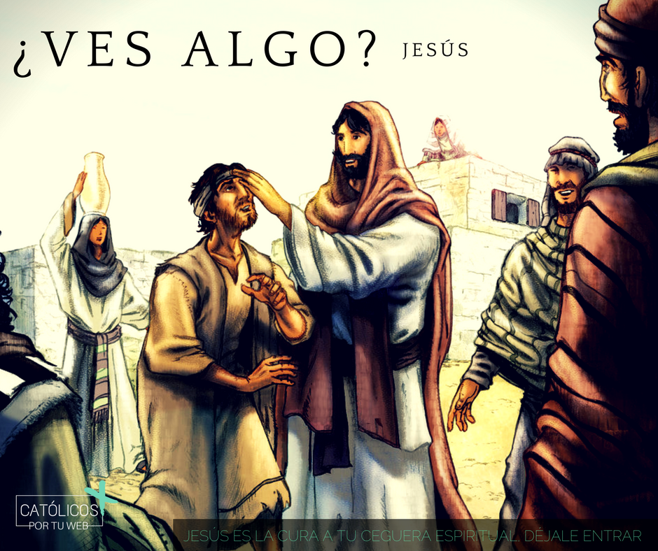 CATOLICOSxtuWEB's tweet photo. #Veo? ¿Te veo en mi, en #eldeallado, en todo lo que #creaste y me distes para #cuidar? #Amitambién me pasa, que #necesito de ti #Jesús. https://t.co/7owTAaRwd2