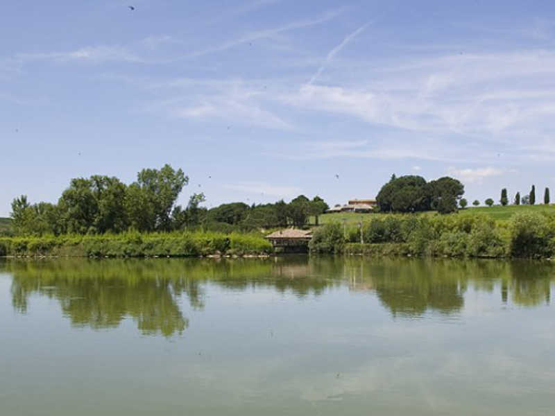 CasilinaNews's tweet photo. #Paliano, #laSelva: #vergogna per la #vendita ai #privati dell'area centrale #Retuvasa https://t.co/yAVIHZSVL7 https://t.co/0pDHuu3HbO