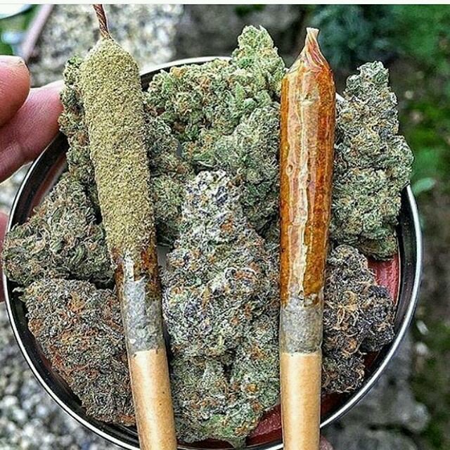 lafingbird's tweet photo. Weed need this to get thru most days #weed #stonerthings #kush #cannabis #medicinal Marijuana https://t.co/83HbyiaASC
