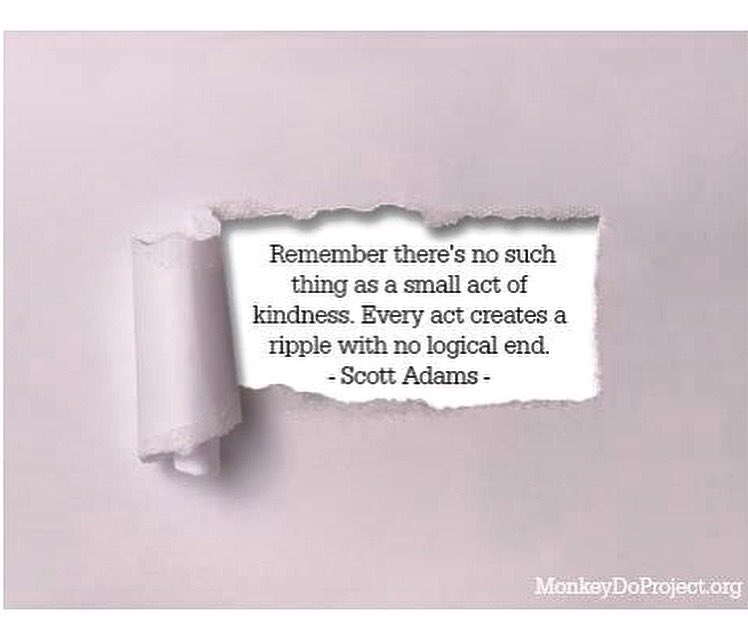 MonkeyDoProject's tweet image. #RAK Day 3: follow along for today's kindness&amp;gt;&amp;gt; facebook.com/MonkeyDoProject #monkeydo #kindness #quotes
