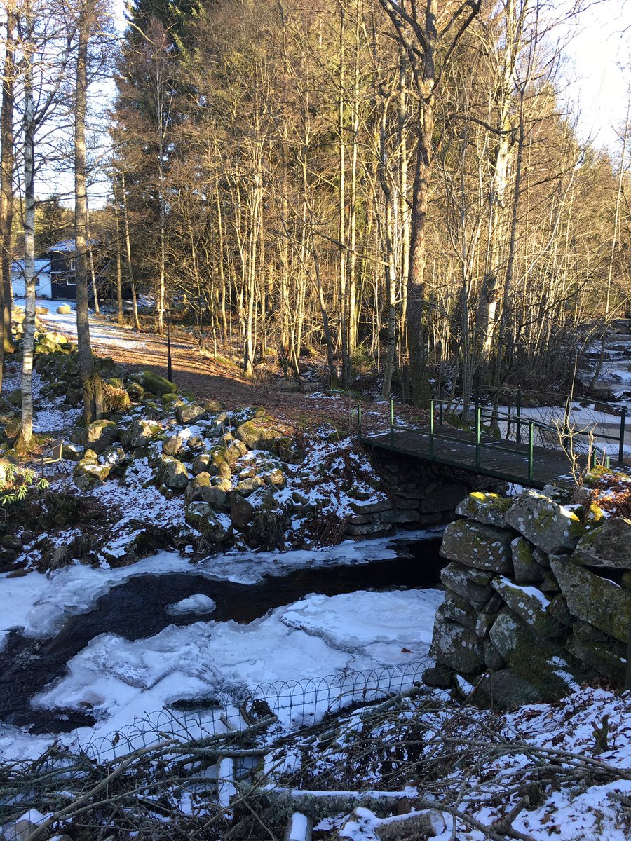 KayKaycurl's tweet image. 