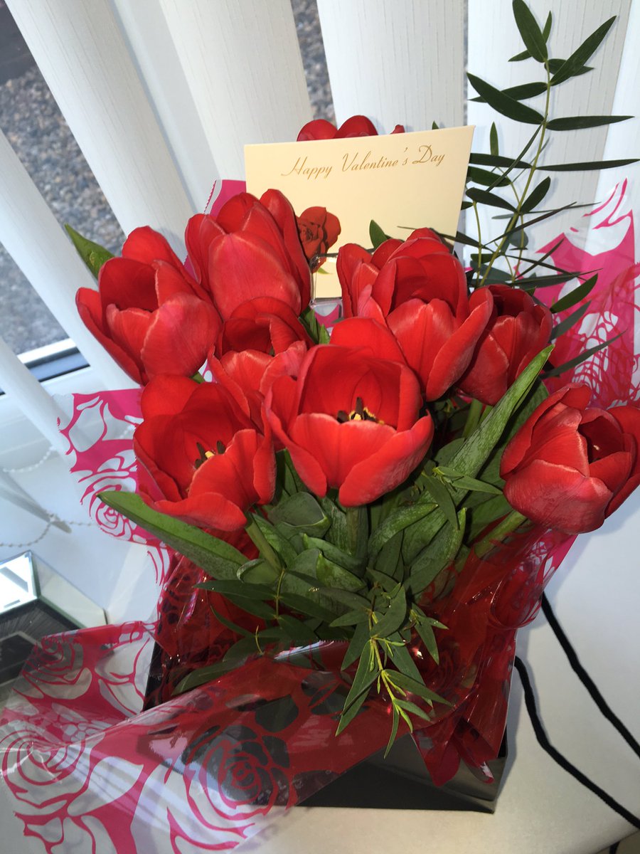 danielleparker9's tweet photo. 100% brownie points yesterday. ❤️😍 @matthew10fisher SO glad that we've cleared everything up and are happy again! #TeamFishy https://t.co/NlGk25mV5k