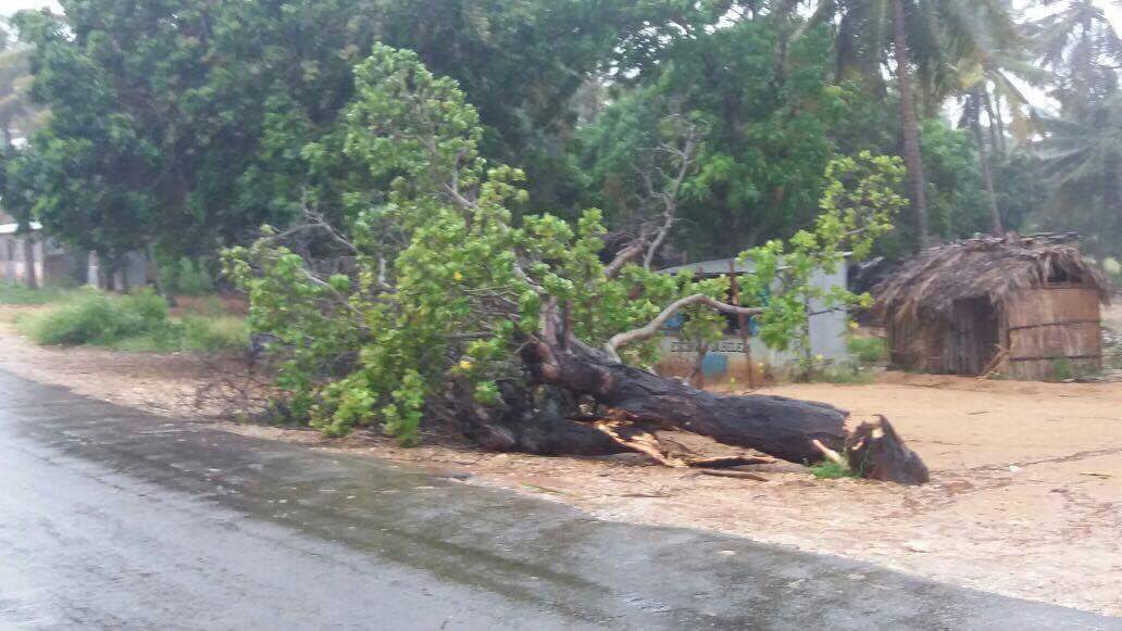 mwelimasilela's tweet photo. Some of the pictures from Mozambique, as cyclone #Dineo hits. #sabcnews https://t.co/ZUXPqnQuZL