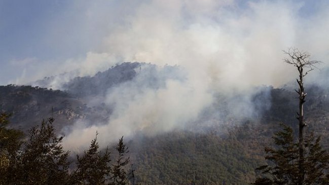 Cooperativa's tweet photo. Bomberos y Conaf trabajan por incendio en Parque Nacional Conguillío https://t.co/6LXSOiWSDy https://t.co/XVBGNK6gZj