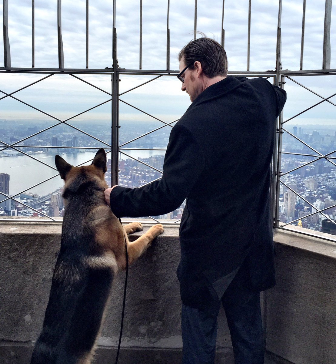 WKCDOGS's tweet photo. Looking out over Manhattan. #WKCDogShow https://t.co/gkzufIzfVy