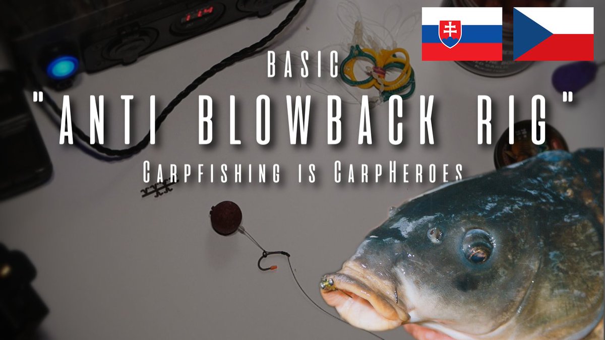 CarpFishingHero's tweet photo. #Blowback #carprig #video #youtube
https://t.co/wsxOJCWwst
#carpheroes #carpfishing https://t.co/X98Z7bI0Gw