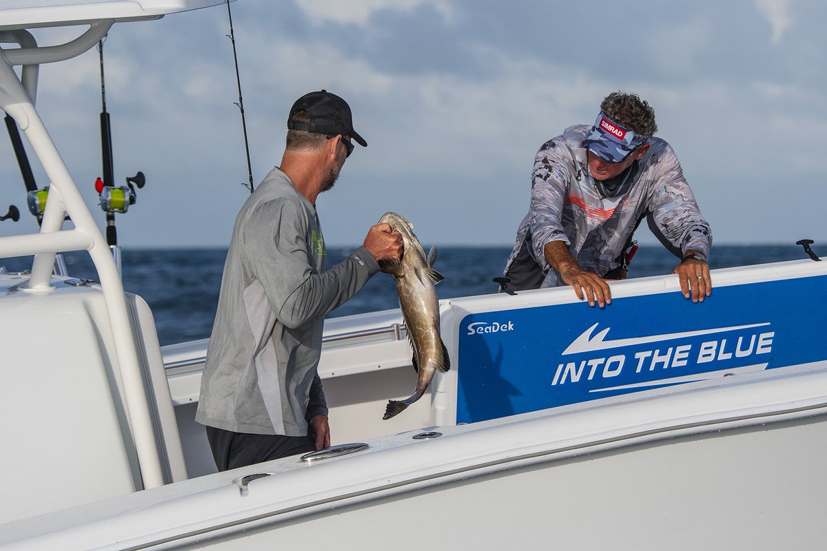 IntotheBlue (@intothebluetv) on Twitter photo Scott's favorite.
<a href="/YETICoolers/">YETI</a> <a href="/SeaDekTweet/">SeaDek Redirect</a> @ShimanoFishUSA <a href="/simradyachting/">Simrad</a> <a href="/YellowfinUSA/">Yellowfin Yachts</a> <a href="/UnderArmour/">Under Armour</a> <a href="/CostaSunglasses/">Costa Sunglasses</a> Scott's favorite.
<a href="/YETICoolers/">YETI</a> <a href="/SeaDekTweet/">SeaDek Redirect</a> @ShimanoFishUSA <a href="/simradyachting/">Simrad</a> <a href="/YellowfinUSA/">Yellowfin Yachts</a> <a href="/UnderArmour/">Under Armour</a> <a href="/CostaSunglasses/">Costa Sunglasses</a>