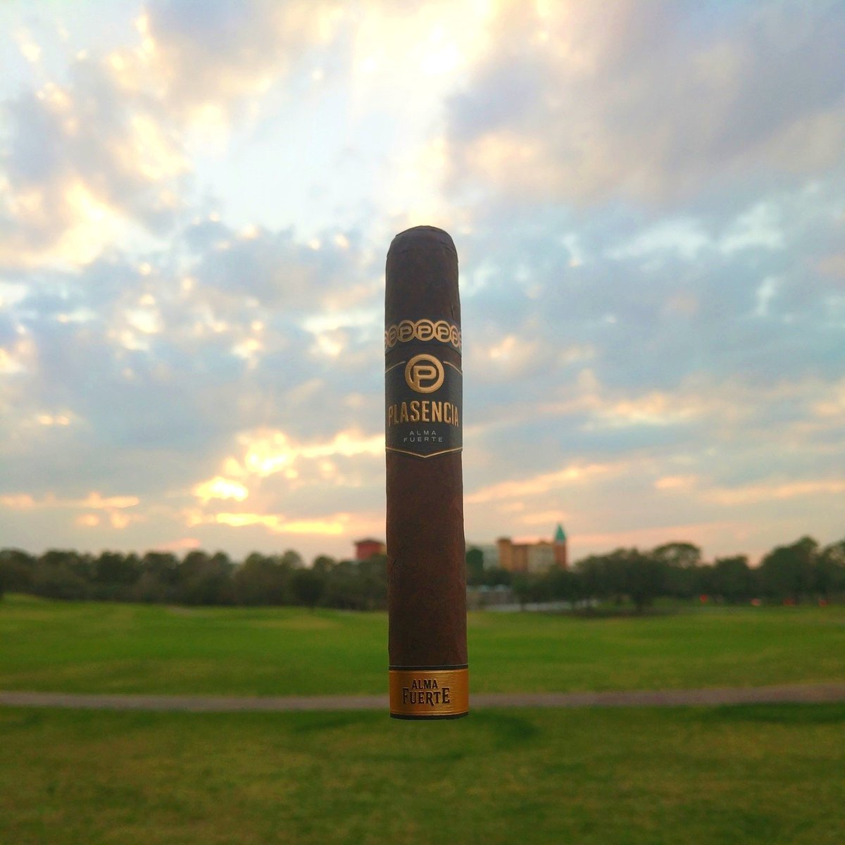CigarsH's tweet photo. @PlasenciaCigars Alma Fuerte @coronacigarco 
🔥🔥 #coronacigar #cigaraficionado #cigars https://t.co/9Sl0bnISQT